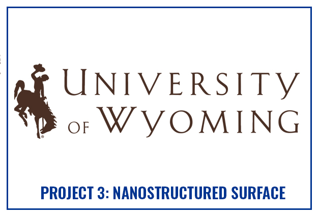 Univ Wyoming Logo Project 3 Lead