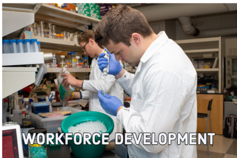 Researcher in the Balog Lab with Workforce Development text