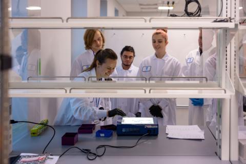 Climbs up cohorts in the lab