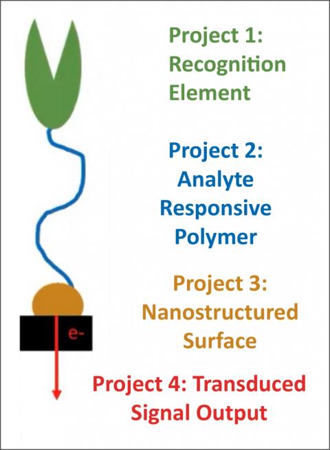 BIO-SENS research project chart