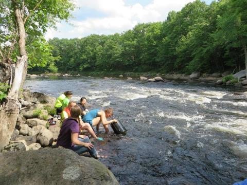 Four college students sample the rapidly moving water of the Contoocook River as part of a four week course studying water quality.