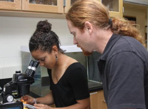 An undergraduate researcher peers into a microscope as her professor looks on