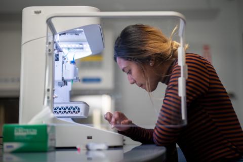 An undergraduate student at Keene State College in the lab focused on the next step in her research process.