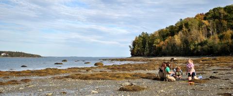 A small beach area with 4 people digging in the sand in the foreground